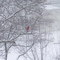 Winter Wonderland