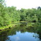 Manumuskin River from Fries Mill Bridge