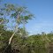 Manumuskin River
