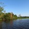 Manumuskin River Downstream