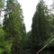 Oswego River
