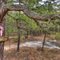 Buttonwood Hill Camp Turnoff