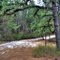 Sugar Sand Trail