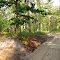 Godfreys Bridge Campground