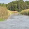 The Marshes at Pleasant Lake
