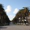 Tunis Carthage Area