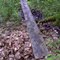 FLT M17 10.13 mi - Puncheon, two 4x6's 14' long, 4x6 sills, near Smiley Rd