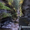 Treman Gorge