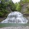 Robert H Treman State Park