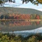 Herb's Swamp... Eelpot Rd. Naples New York