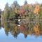 Reflections