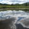 moose creek