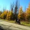 Moose Pond Rd, oct 18, 2012