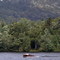 Cris Craft on Fulton Chain of Lakes