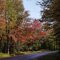 Autumn on McCauley mountain