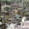 A creek in Old Forge