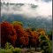 Kora ősz - Autumn