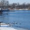 Maple Lake