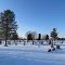 Snow covered Robinson Cemetery