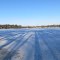 Shadows of the tall beauties on Brandywine Lake in winter
