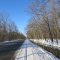 Co Rd 653