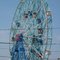 The Wonder Wheel Coney Island was built in 1918 and opened 1920,it stands 150 feet tall and weights over 2,000 tons 2010