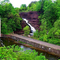 Waterport Falls, Orleans Co., NY