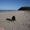 Cedar Beach in Summer