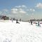 Winter fun at the Wedge's play knoll.