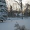 A view from home (jan 27 2011)n