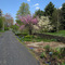 Gardens at Tawasentha Park
