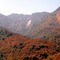 The Rocky Mountains's vegetation