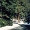 Sequoia and Kings Canyon National Park.