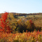 Autumn scene at Barnes Hill, Town of Van Etten, Chemung County, NY. (Looking northwest).