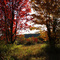 Autumn scene on Soper Road, Town of Van Etten, Chemung County, NY