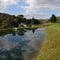 The Pond