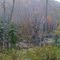 Wynkoop Creek Road