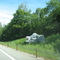 Pig rock