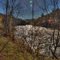 Silver River