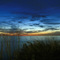 Weeds & Sunset with Jupiter ...02.17.07