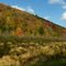 Marshland at  Apex Rte 268 Hancock NY