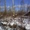 Deer resting area