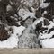 Lee Mulroy Rd Falls 001