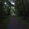 Erie Canal Trail Near Jordan Elbridge