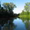 The Buffalo Hole (Pond)