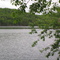 Harriman State Park