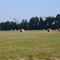 finger lakes countryside
