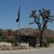 Roadside to Joshuatree N'P-5