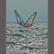 Windsurfing on Seneca