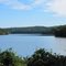 New Croton Reservoir Swans